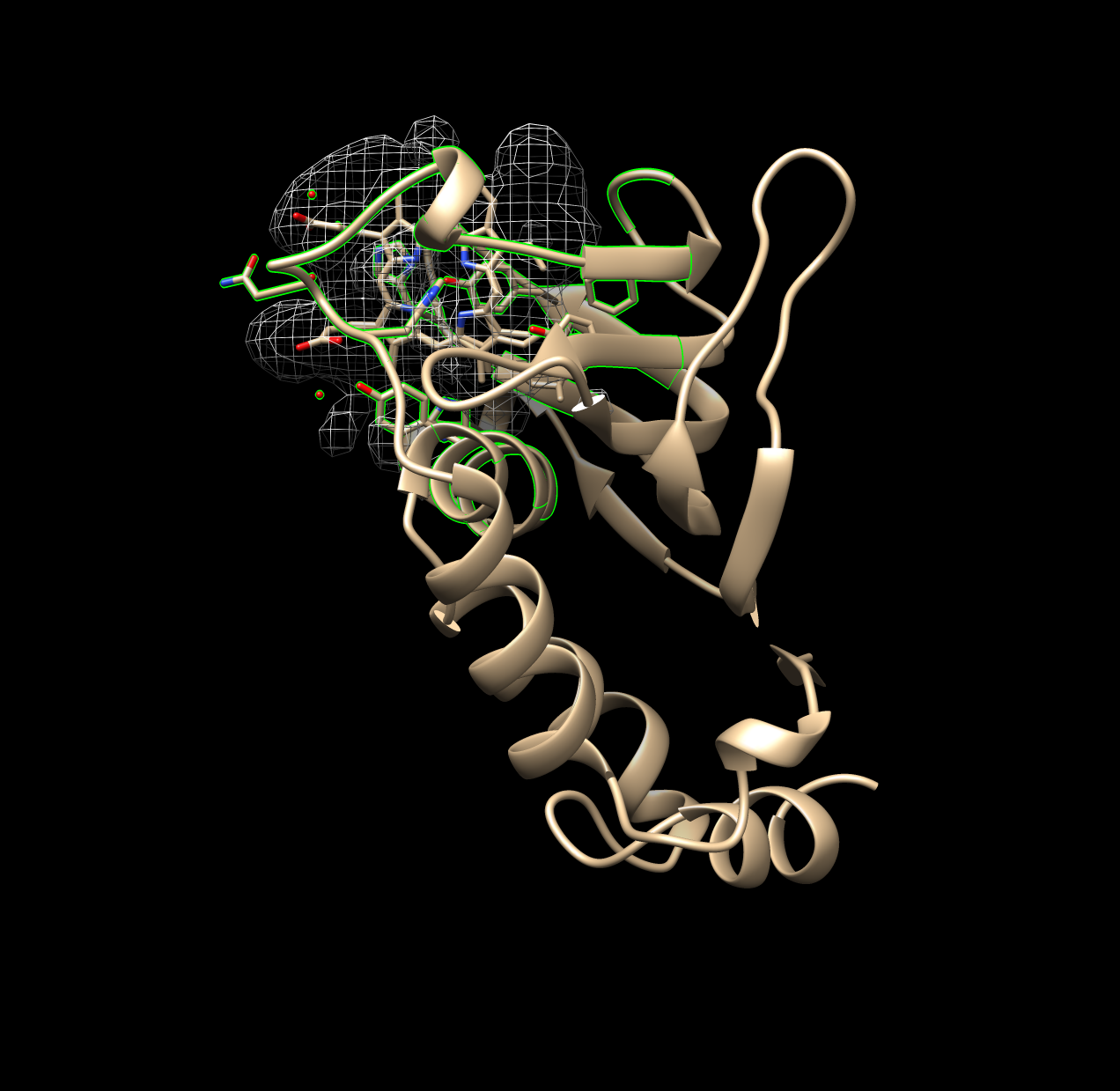 Good Example of Surfnet Run (1B2V)