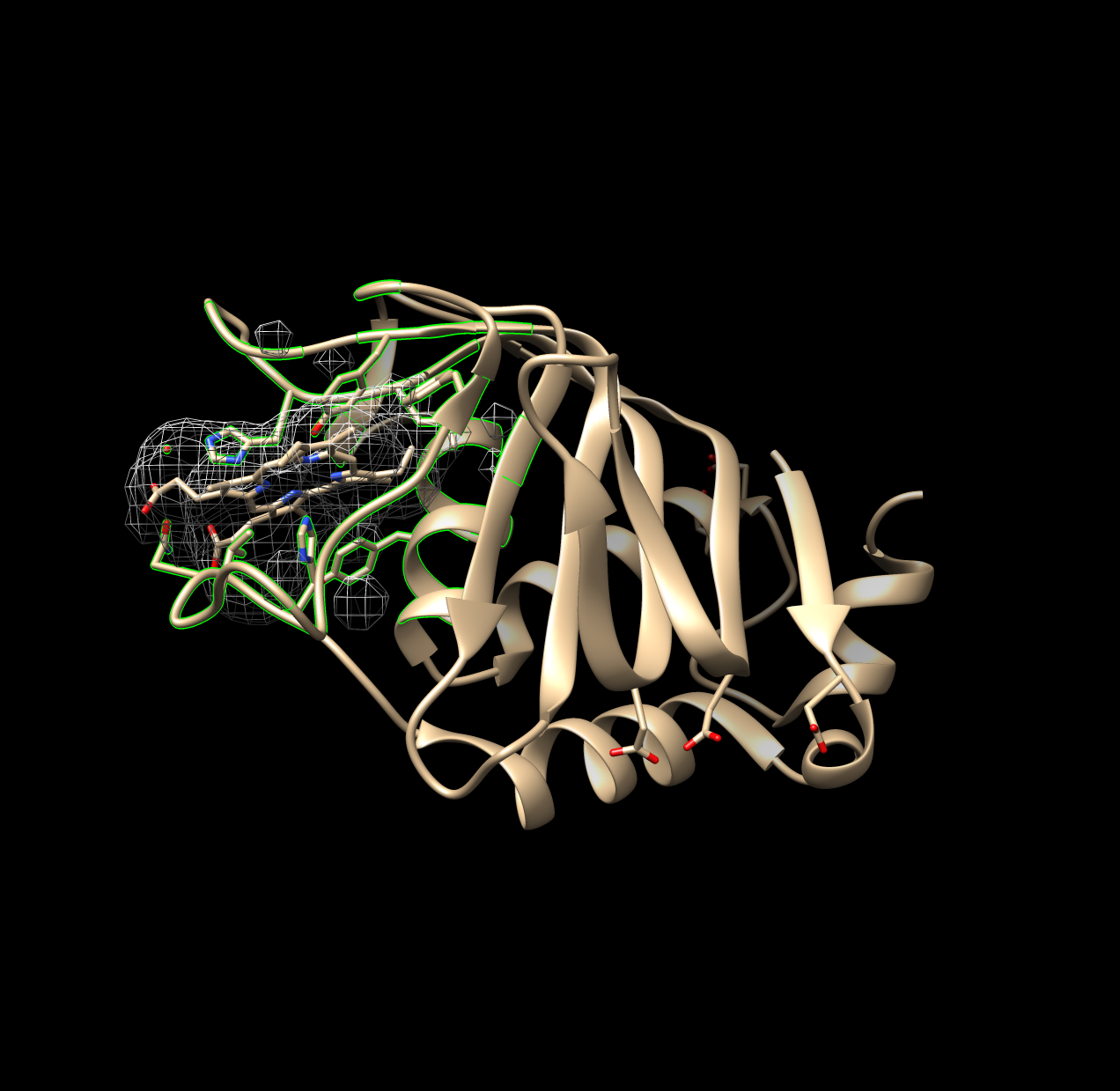 Non-Ideal Example of Surfnet Run (1DKH)